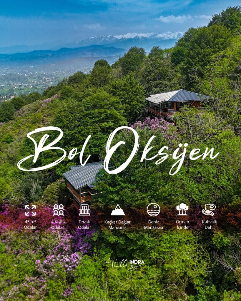 Kestane Terrasse — 4