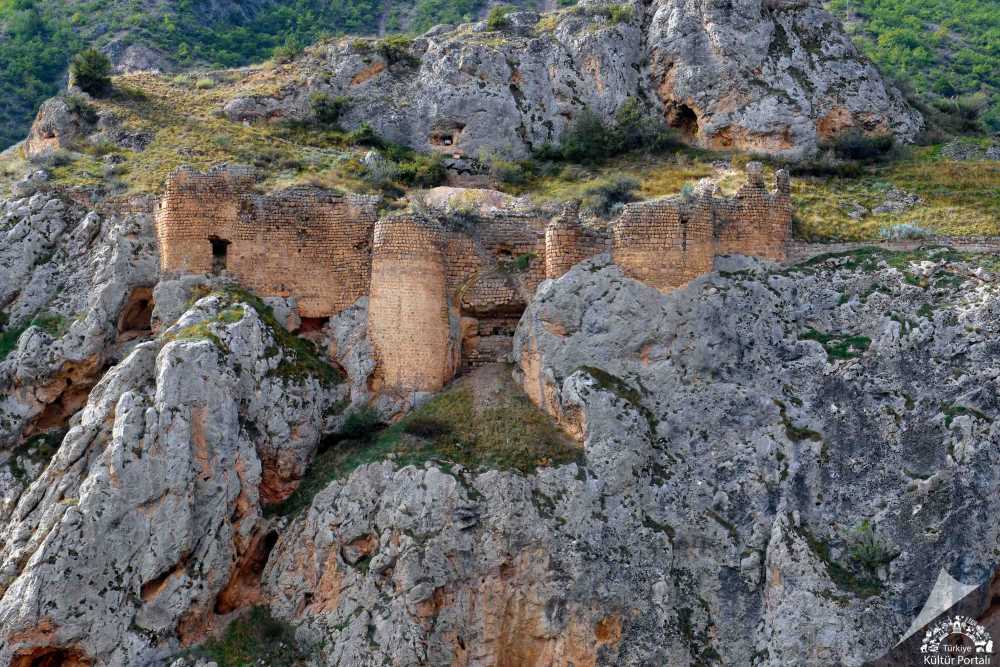 Ardanuç Kalesi