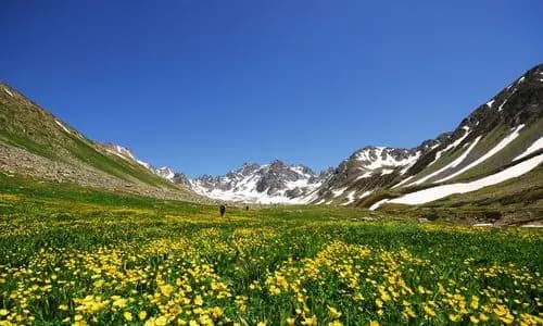 Kaçkar Yaylaları (Artvin)