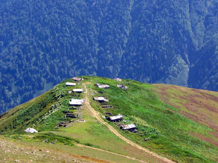Şenöz Yaylası