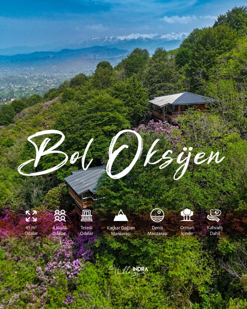 High-oxygen forest location