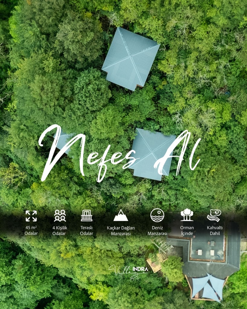 Aerial forest – “breathe”