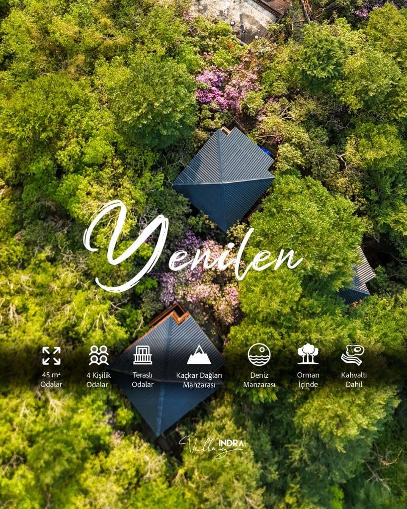 Villa Indra – aerial forest view with “renew” theme