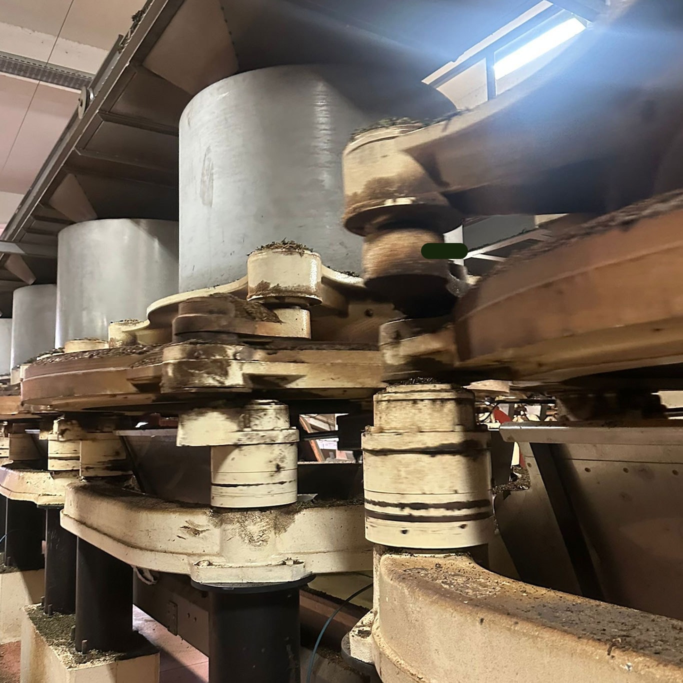 Rize tea factory visit