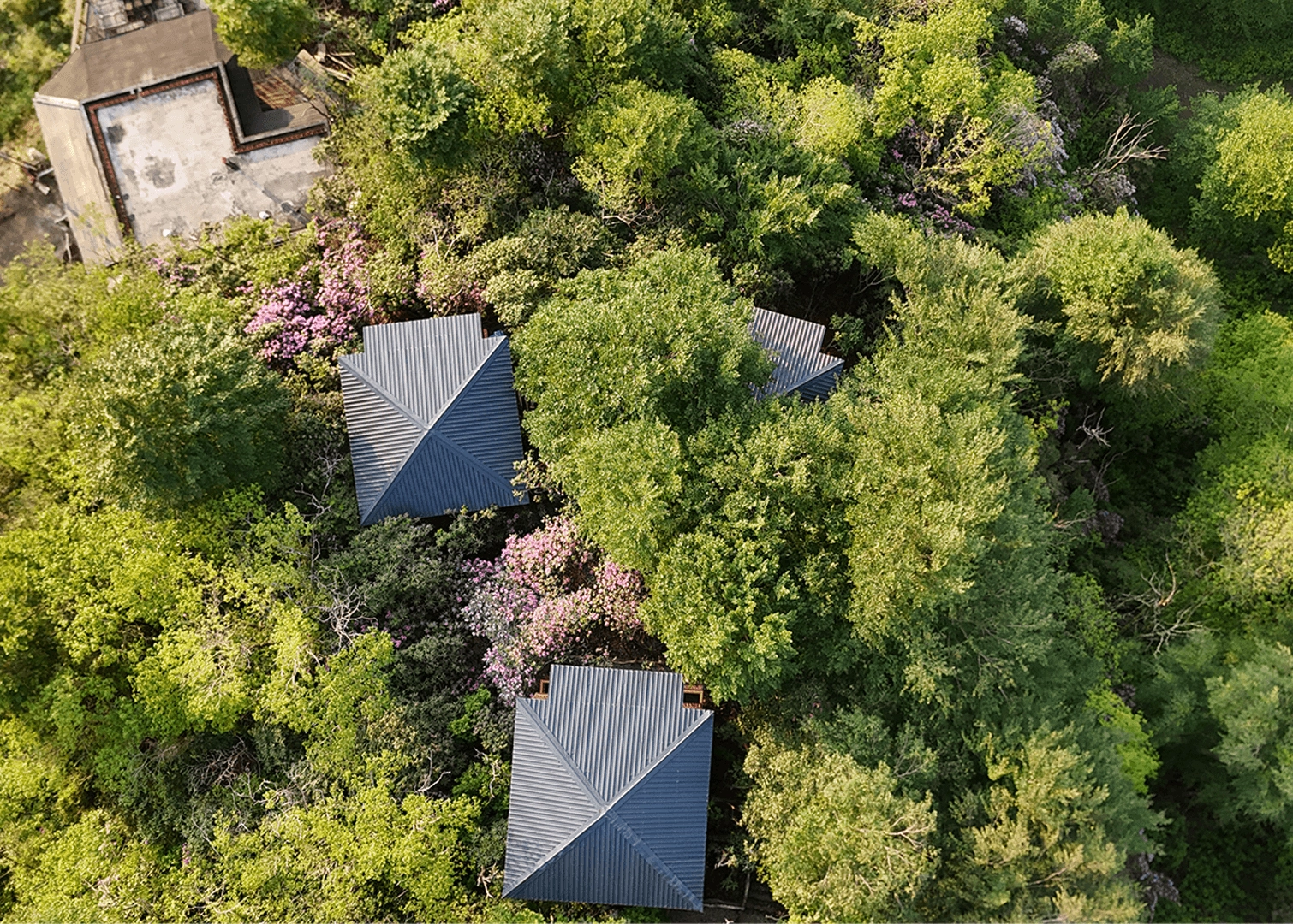 Rize Sömestre Tatili 2026: Aileler İçin Kapsamlı Rehber