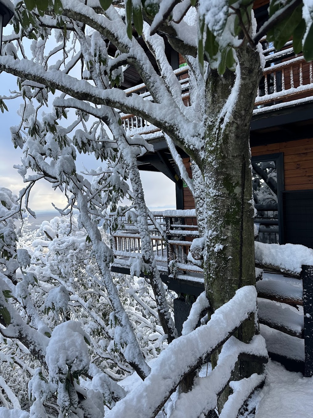 İndra Village Rize Kış Turizmi 2026: Kapsamlı Rehber | Odalar, Aktiviteler, Gezi Rehberi, Rezervasyon