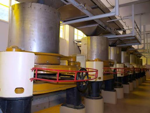 Tea rolling machines in a Rize tea factory