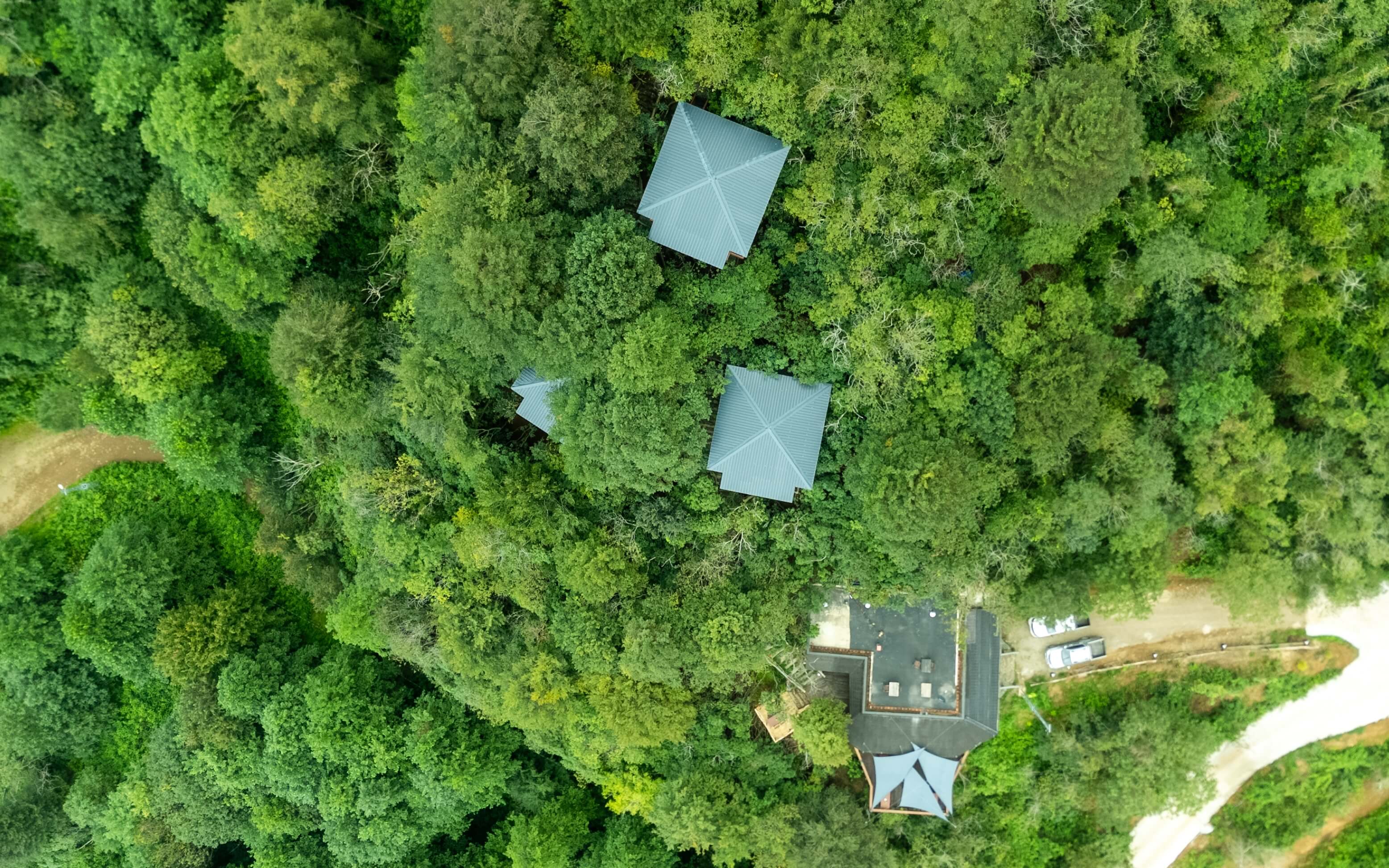 İndra Village, Rize / Pazar wellness kaçışı