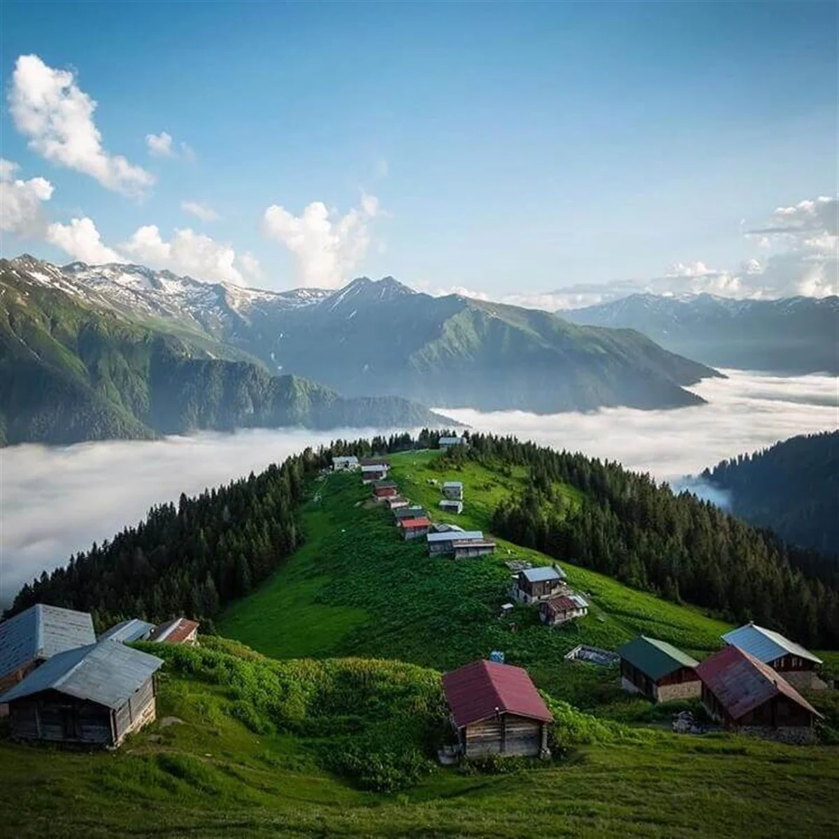 Pokut Yaylası